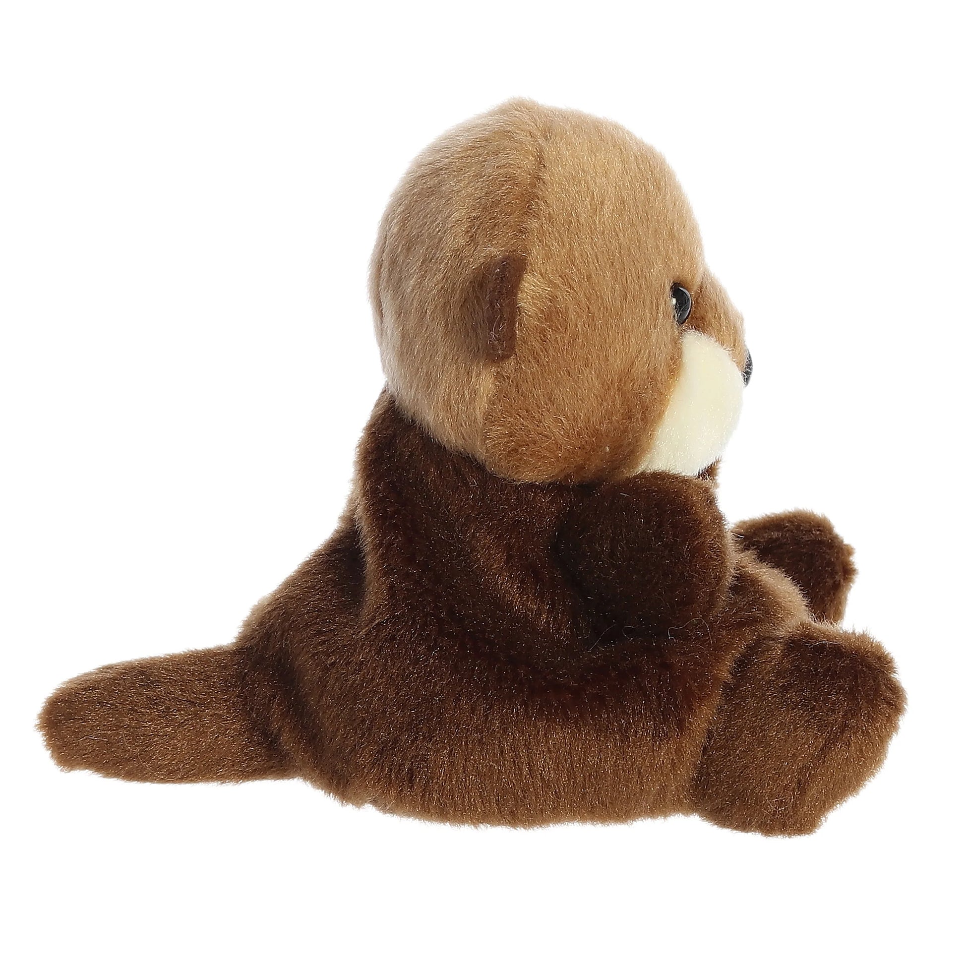 Palm Pals - Selena Sea Otter