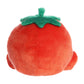 Palm Pals - Boyd Tomato