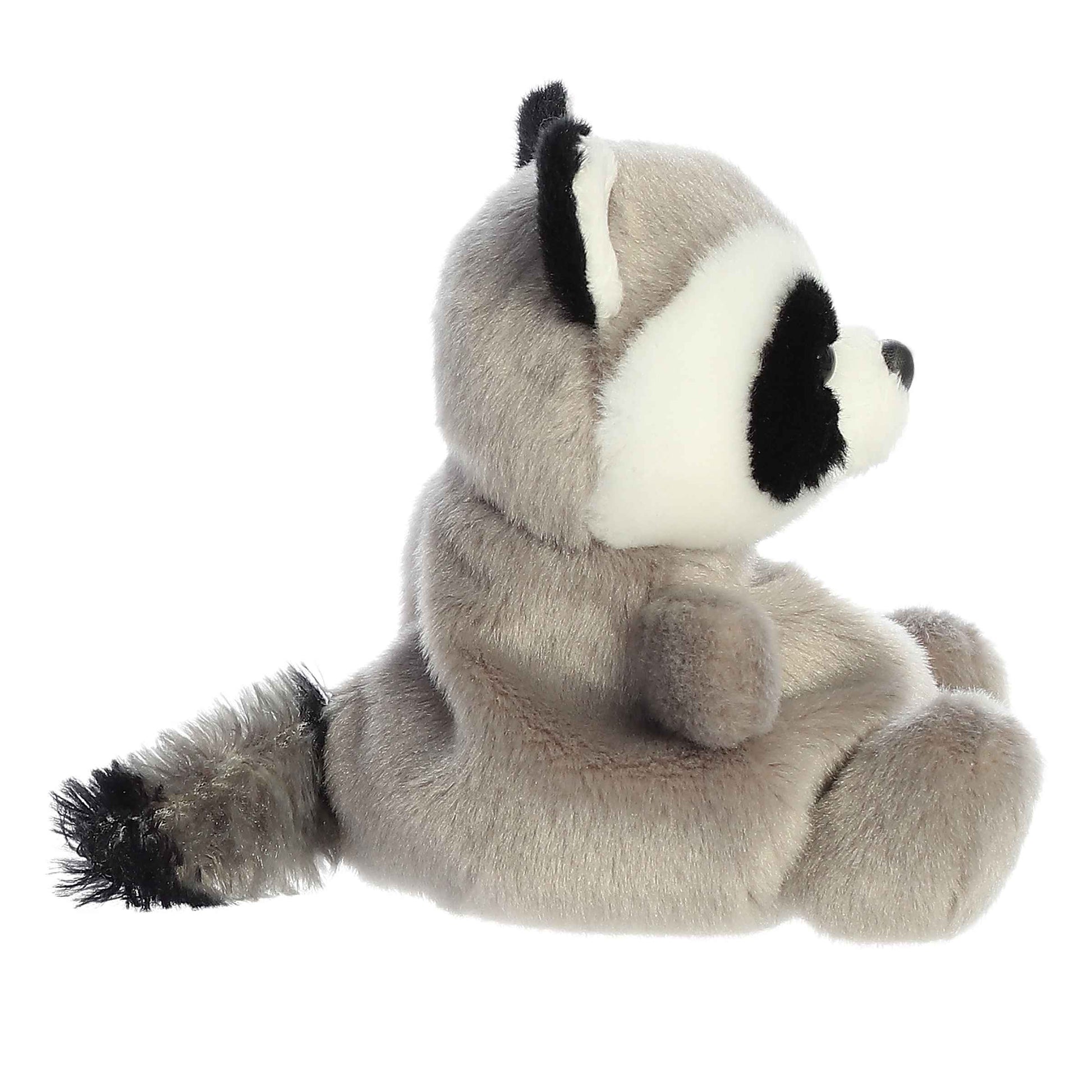 Palm Pals - Rascal Raccoon