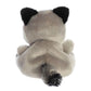 Palm Pals - Rascal Raccoon