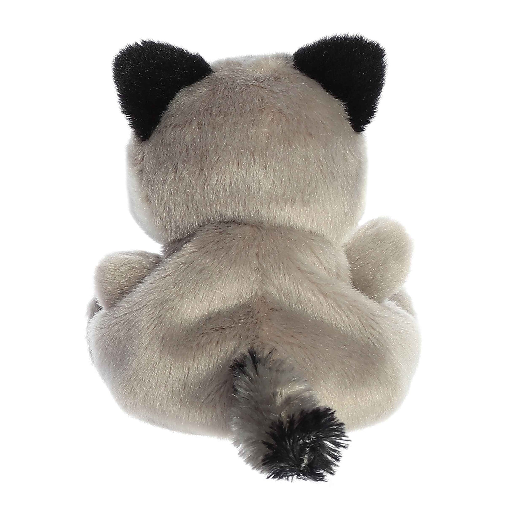 Palm Pals - Rascal Raccoon
