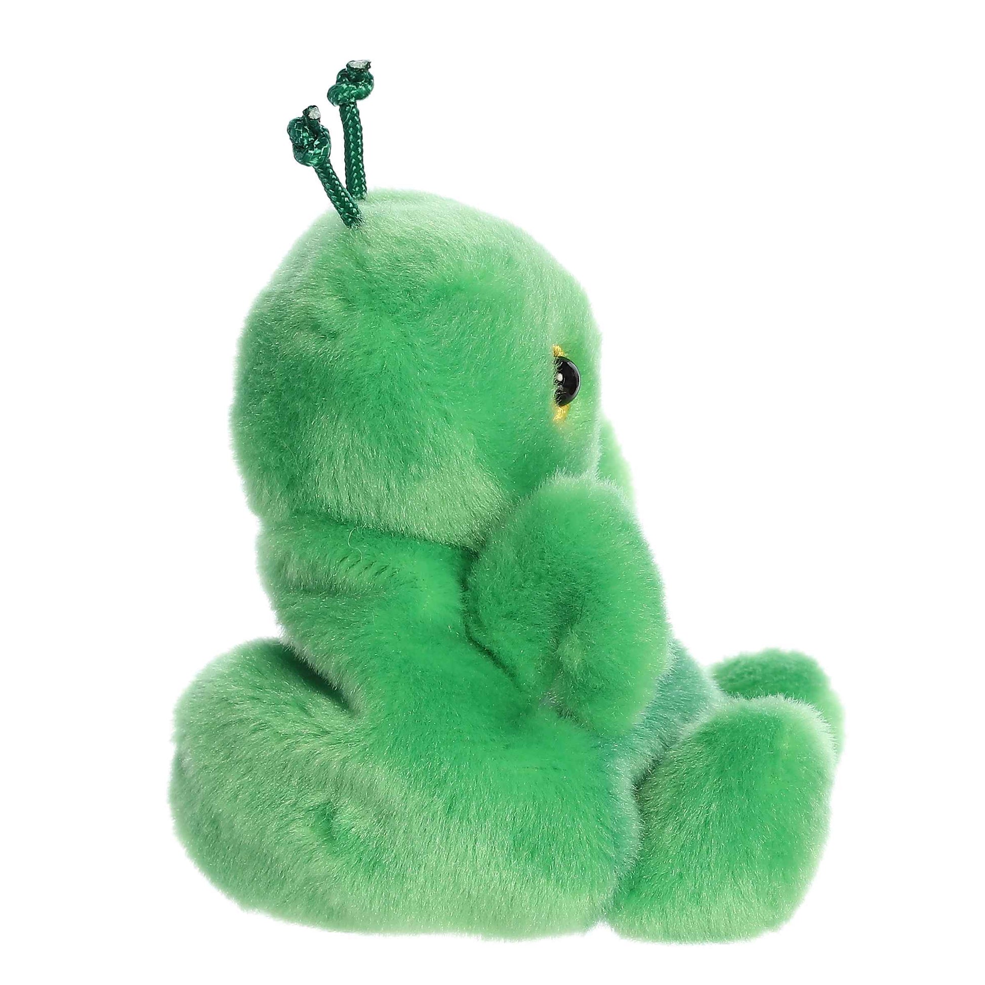 Palm Pals - Kai Praying Mantis