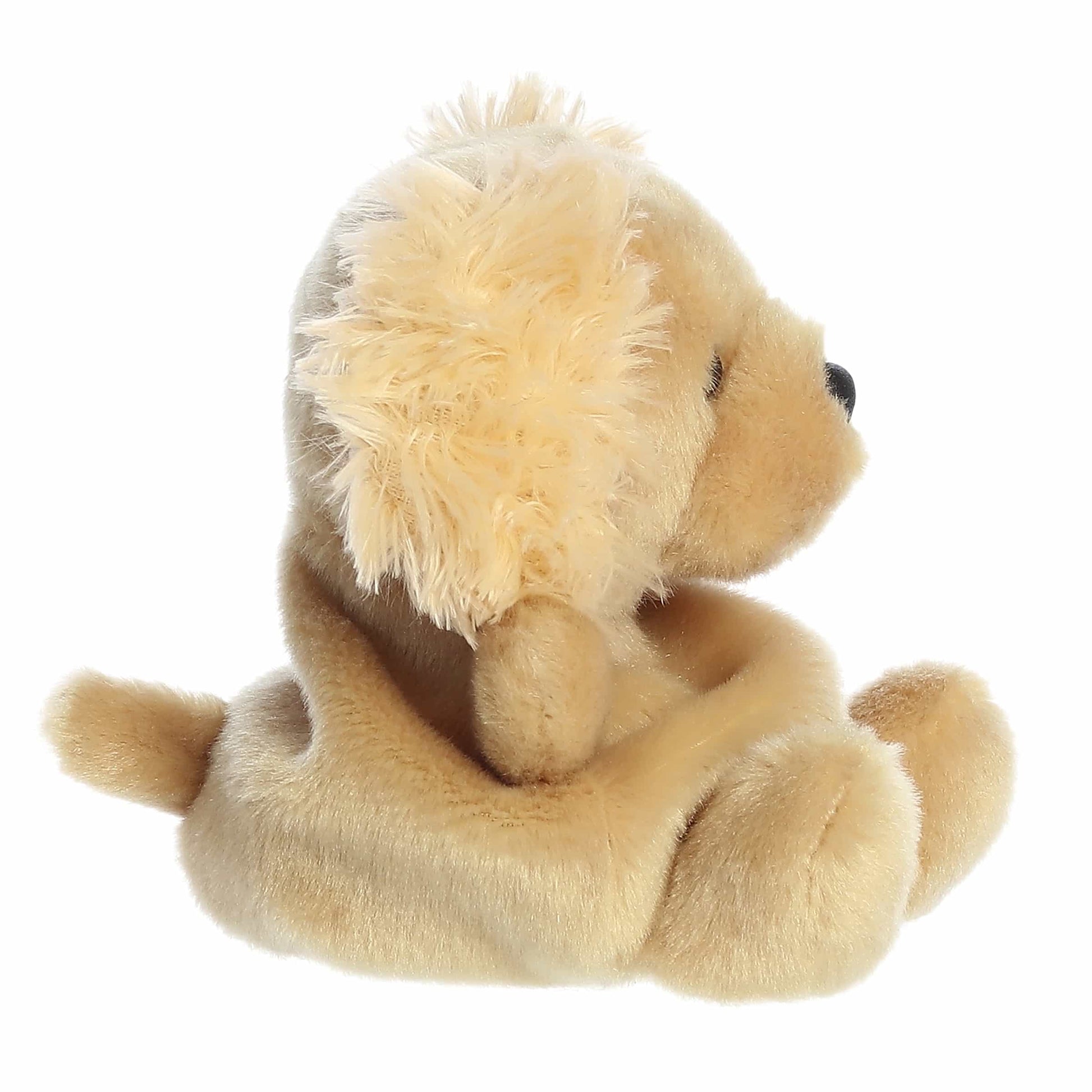 Palm Pals - Oatmeal Goldendoodle