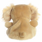 Palm Pals - Oatmeal Goldendoodle