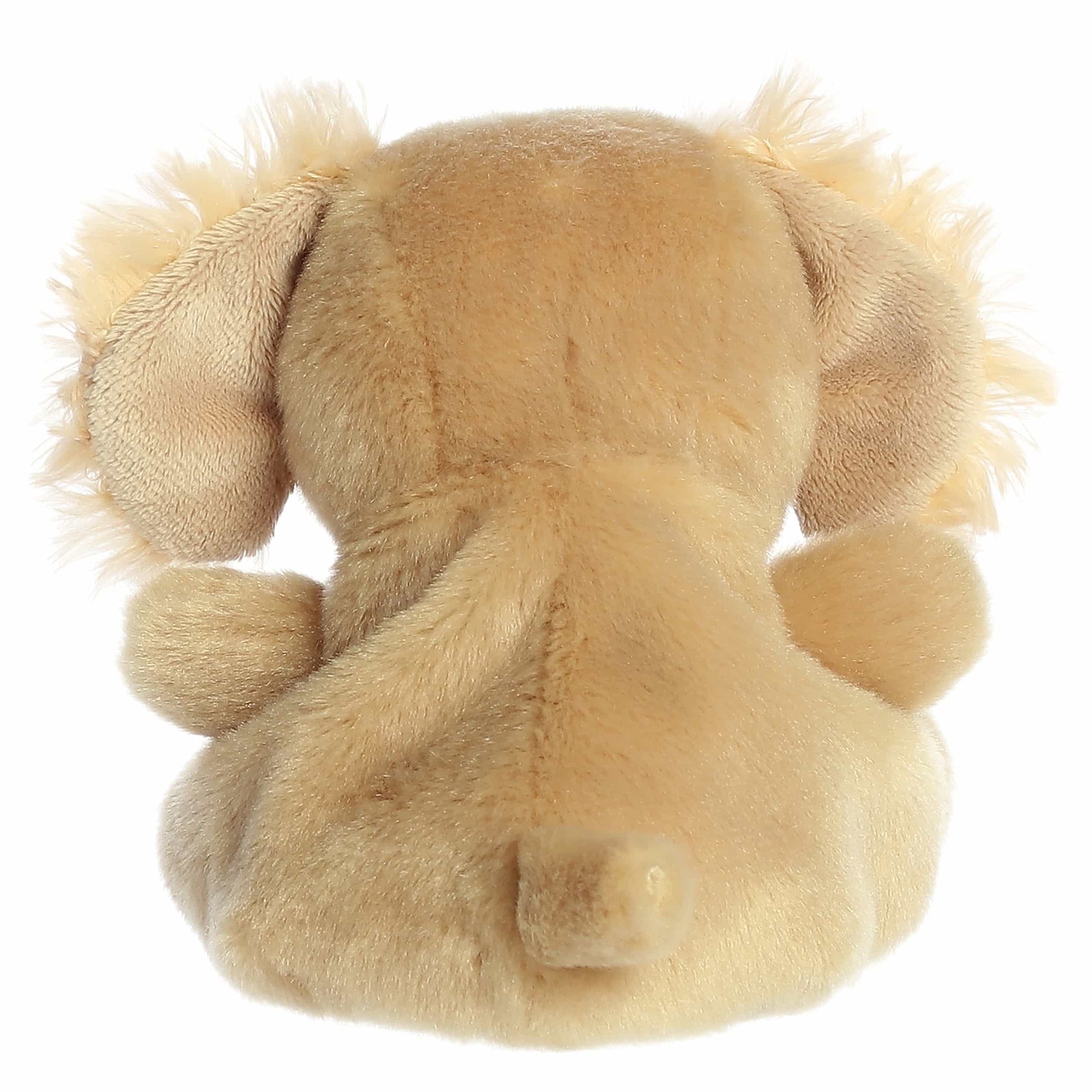 Palm Pals - Oatmeal Goldendoodle