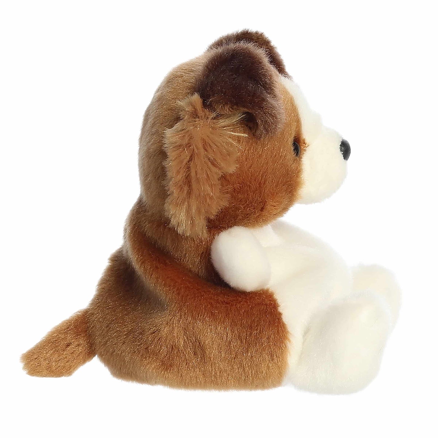 Palm Pals - Fia Sheltie