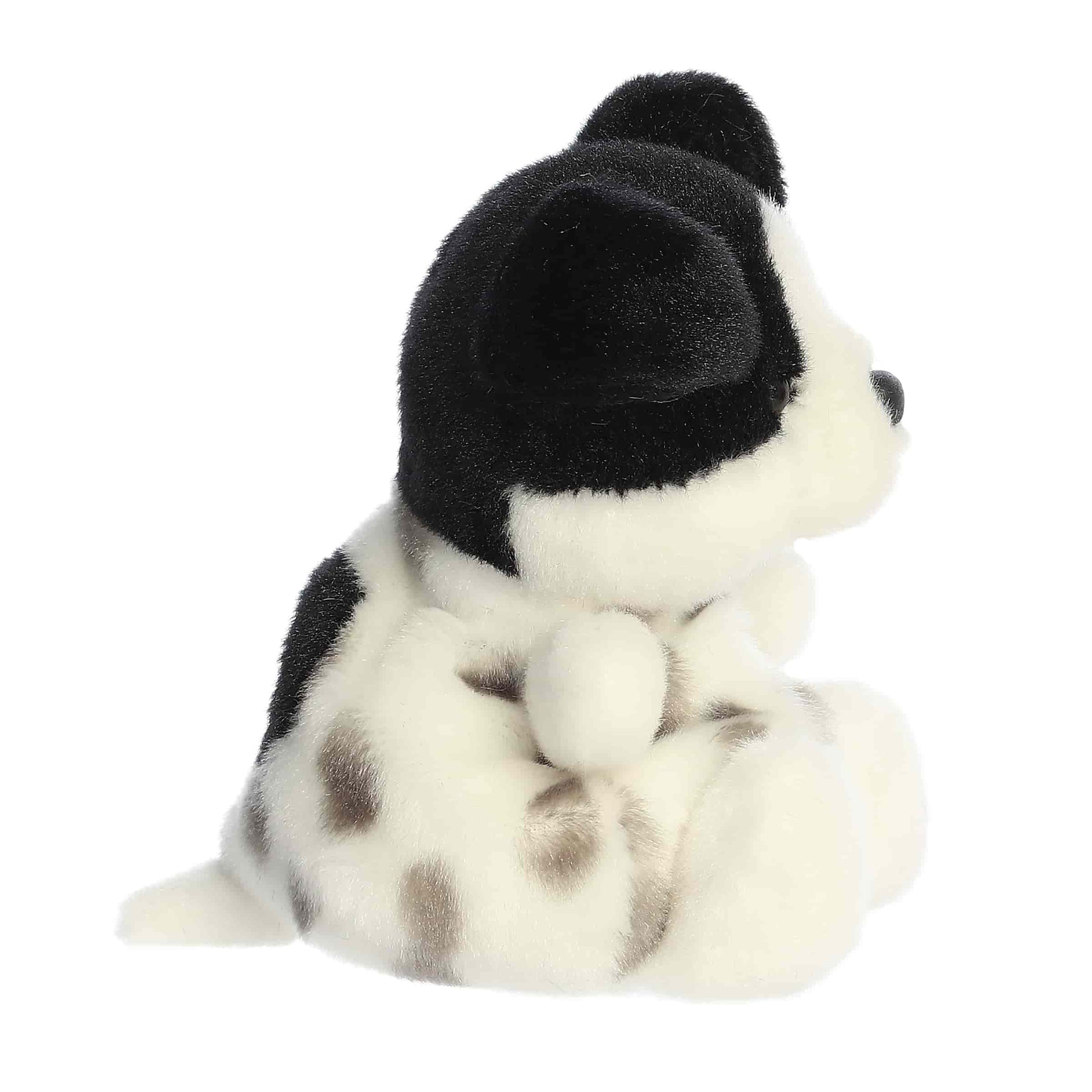 Palm Pals - Snorkels Black & White Dog