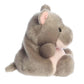 Palm Pals - Ham Pygmy Hippo