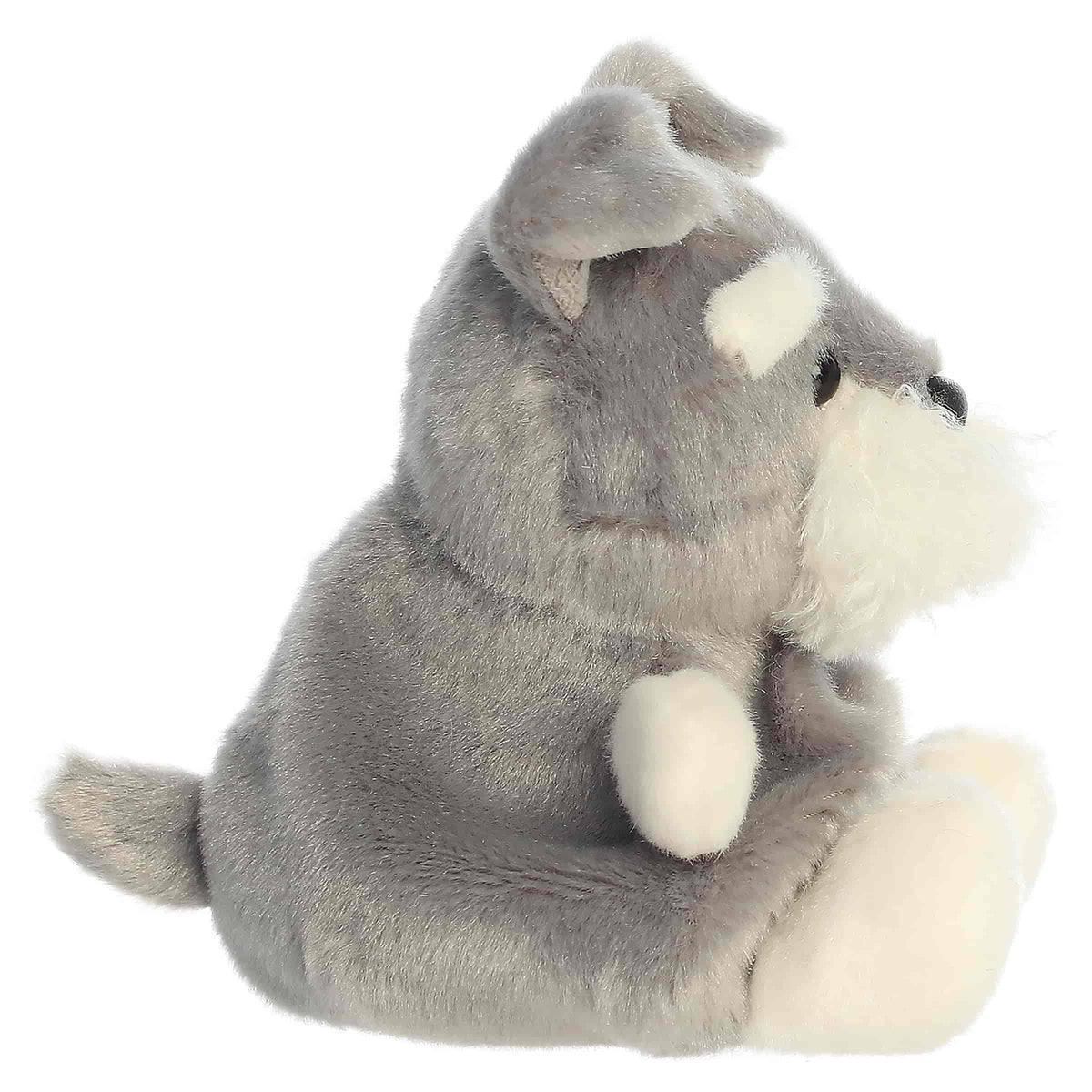 Palm Pals - Korra Schnauzer