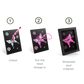 Kidywolf - KidyNeon Illuminated Wall Decoration Kit (Select Style)