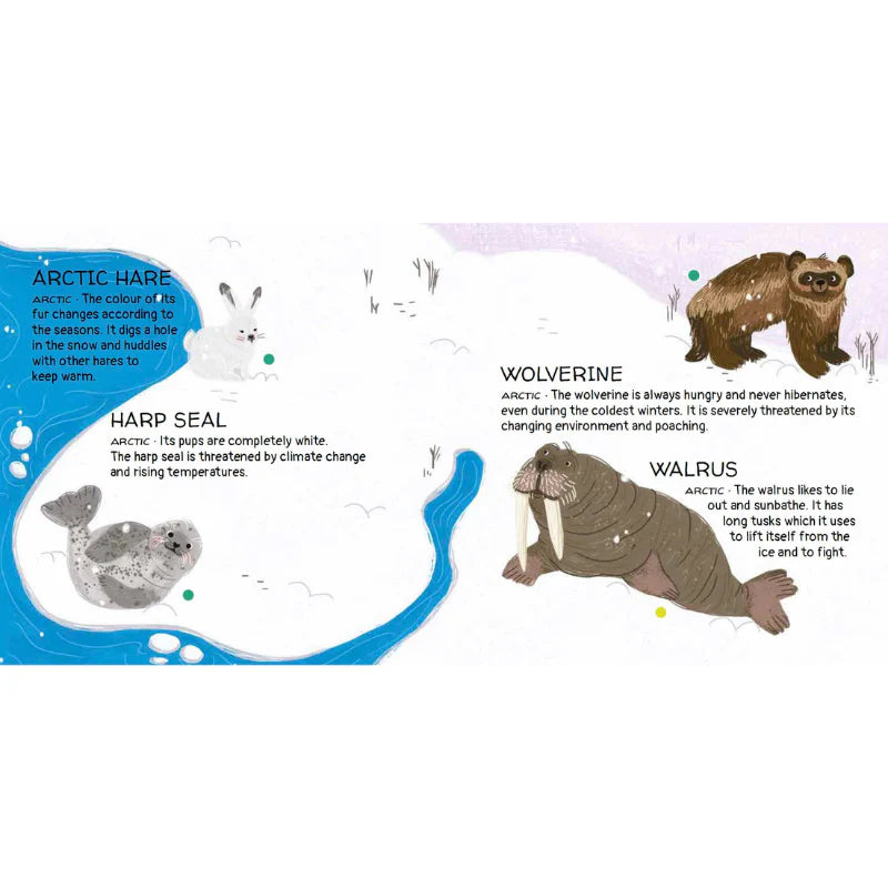 Sassi Games - Memory Matching - Animals to Save | Polar Ice