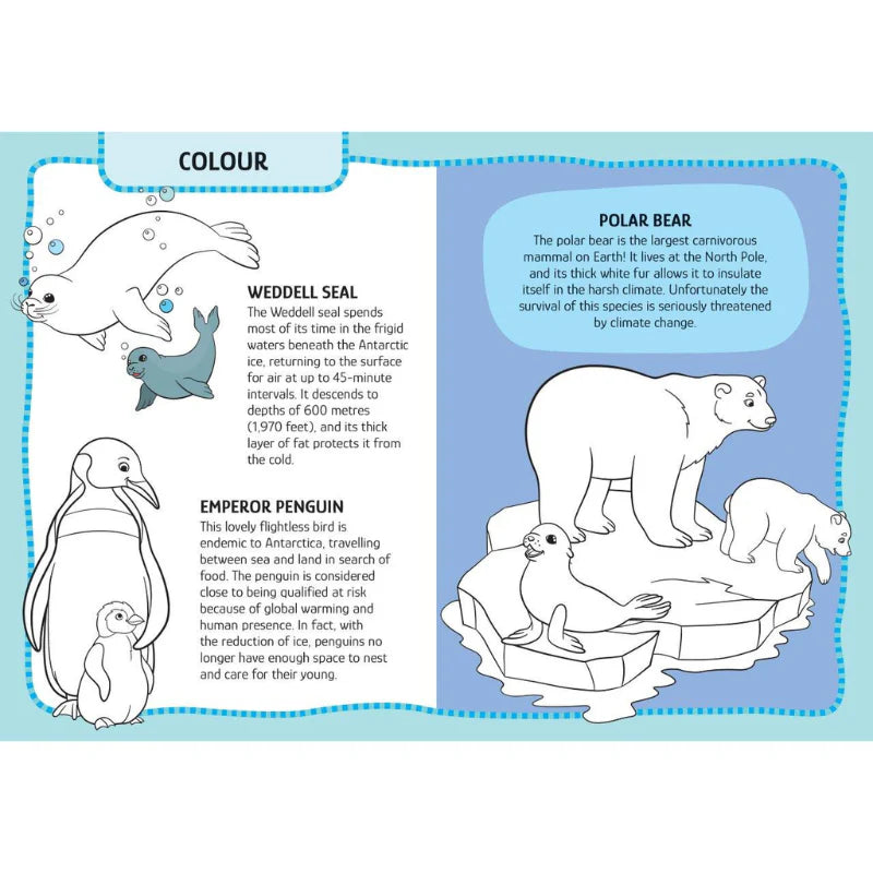 Sassi Arts and Craft - Animals