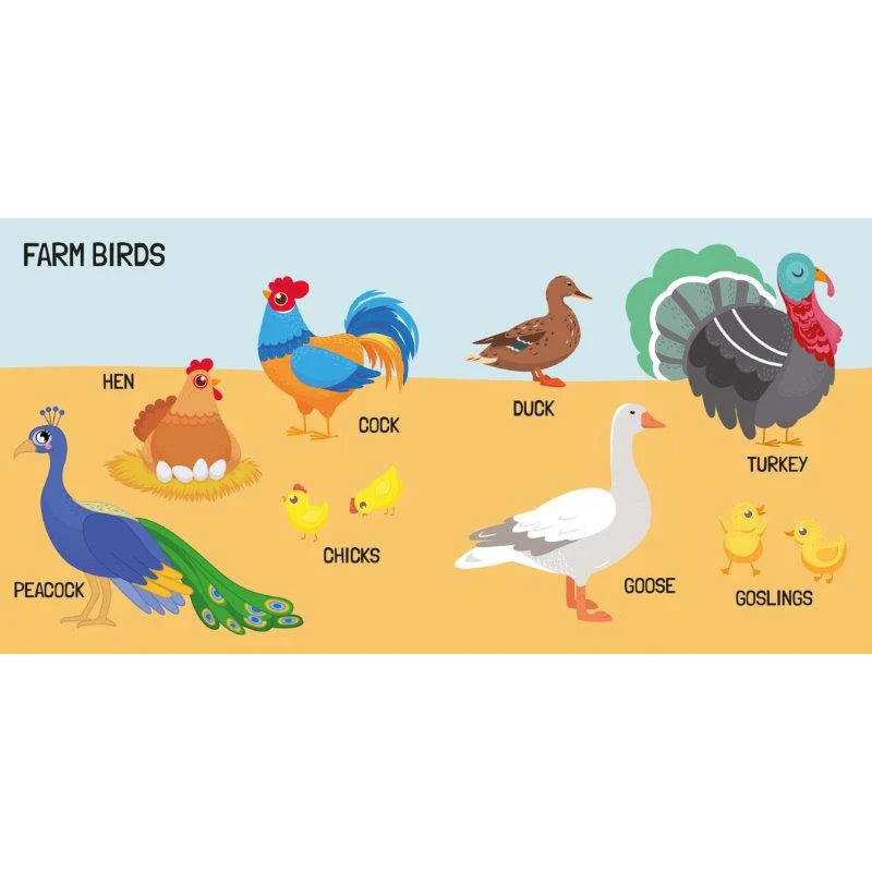 Sassi 3D Puzzle and Book Set - World of Birds