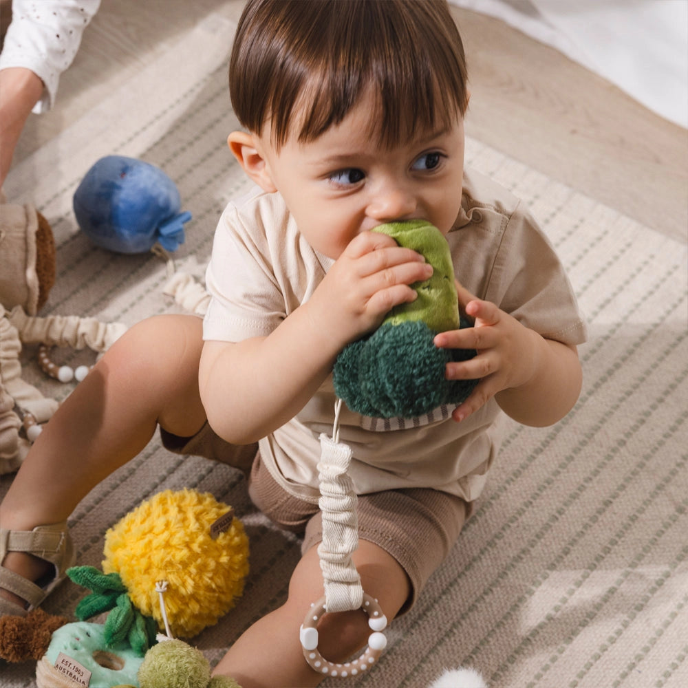 Living Textiles - 2 Pack Mini Market Brunch Stroller Toys | Broccoli & Tomato