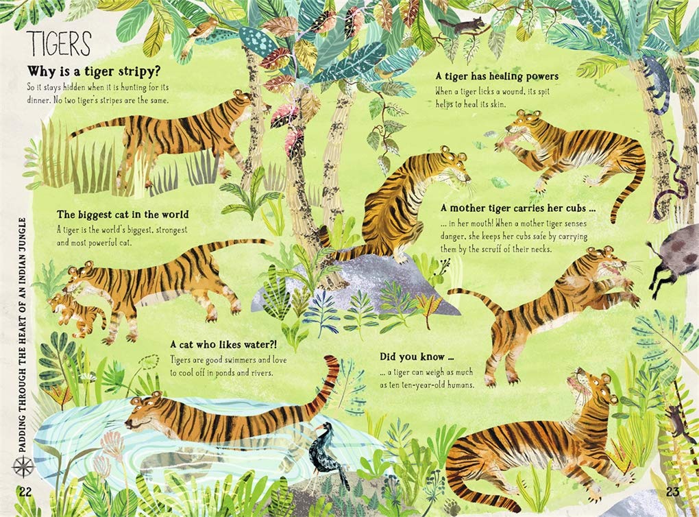 The Big Book of Beasts