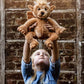 Charlie Bear - Bartizan
