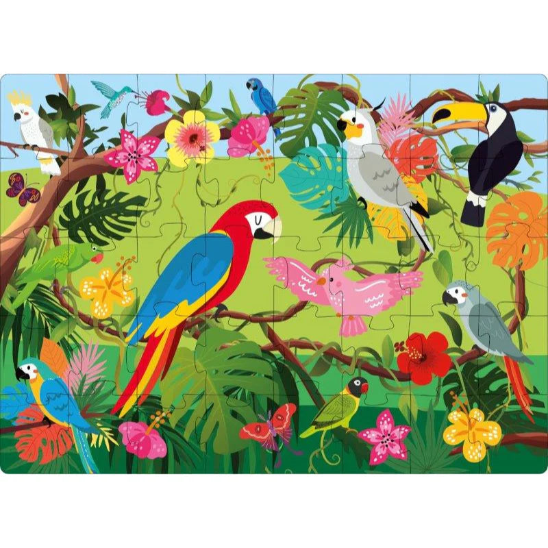 Sassi 3D Puzzle and Book Set - World of Birds