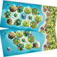 Catan Junior
