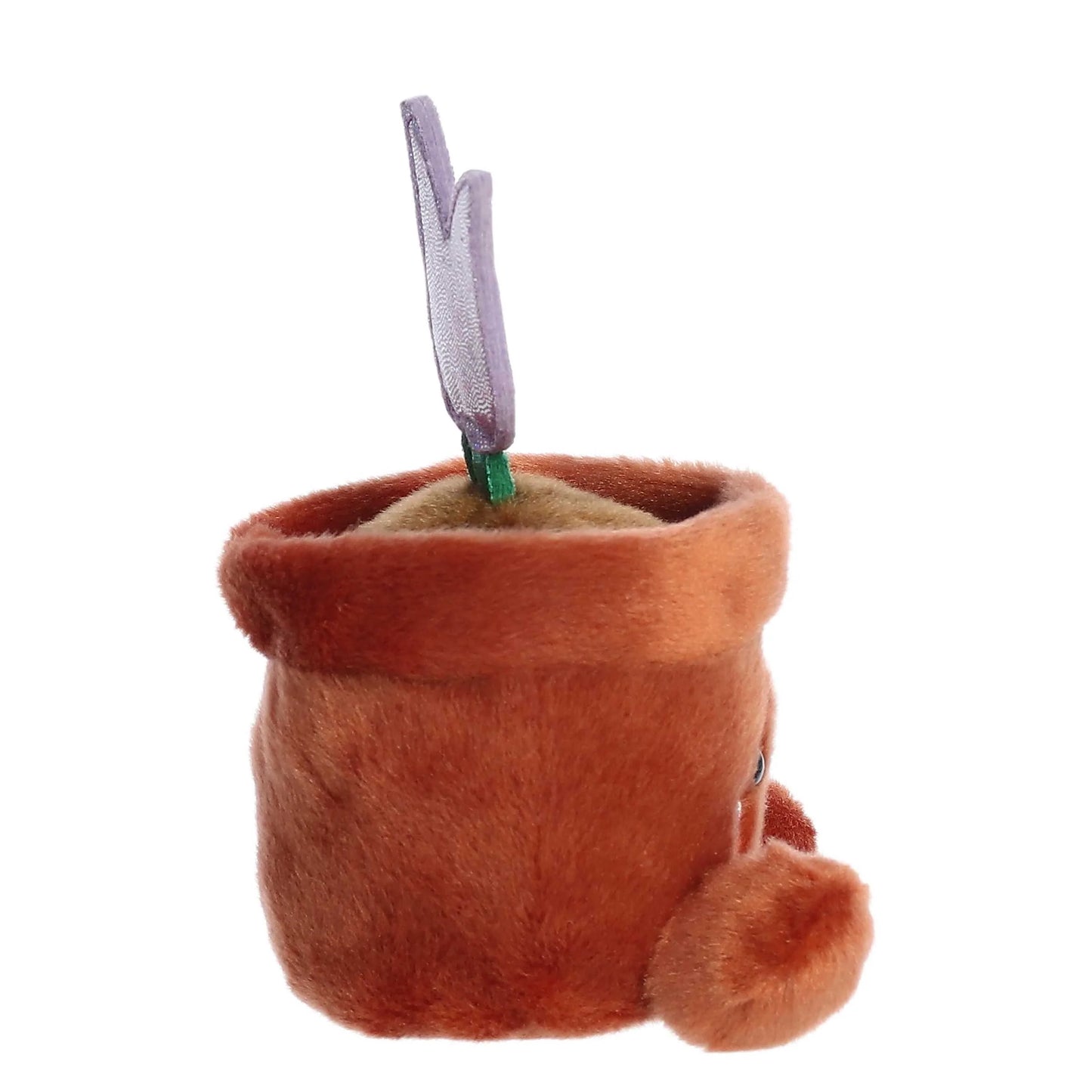 Palm Pals - Holland Potted Tulip