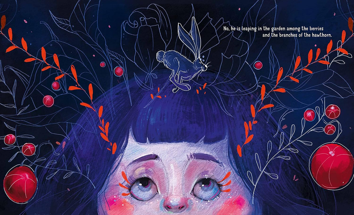 Sassi - Dark Wolf Story Book