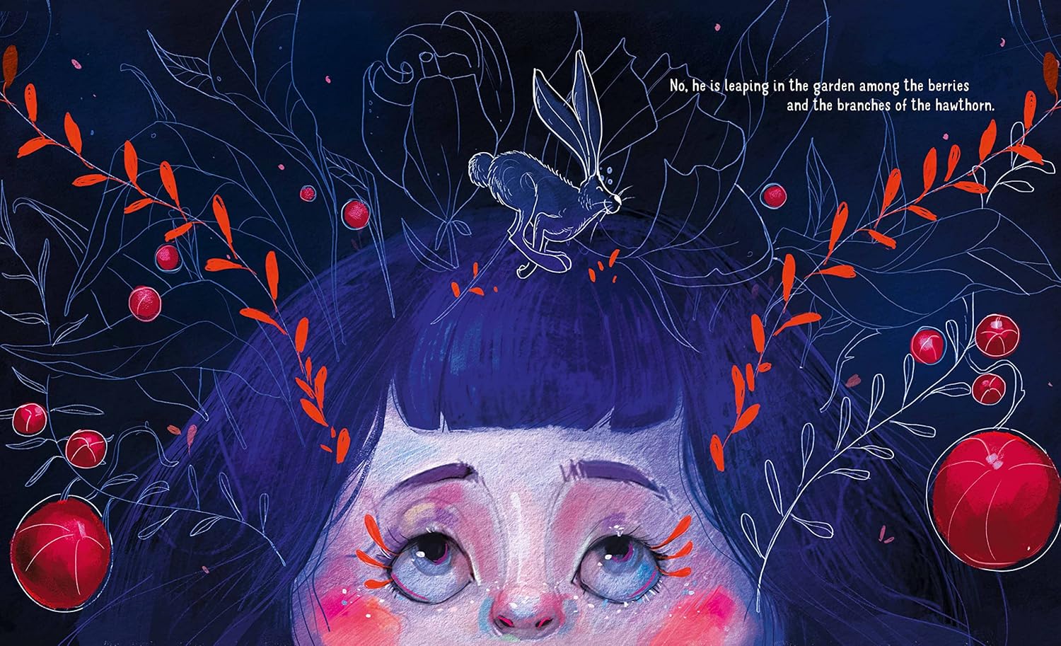 Sassi - Dark Wolf Story Book