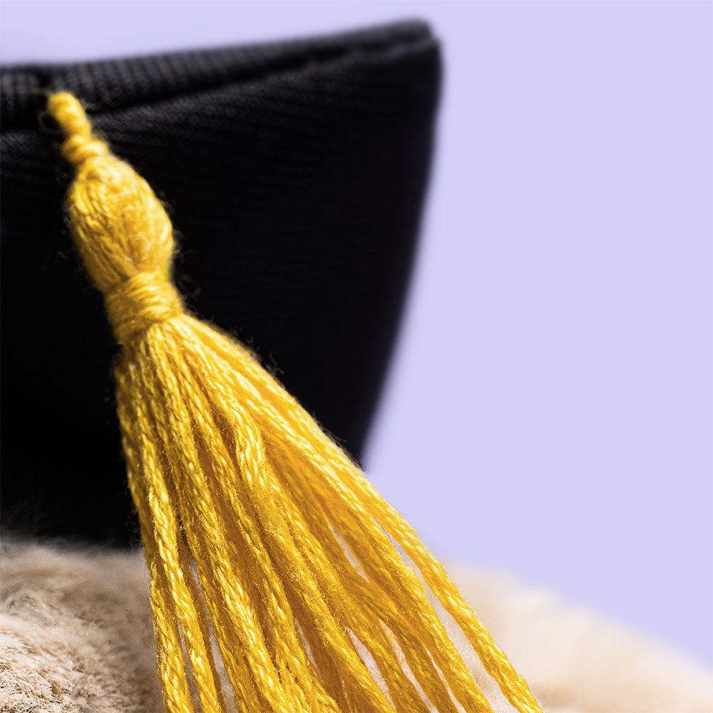 Jellycat Bashful - Bunny Graduation Outfit