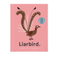 Liarbird - Book