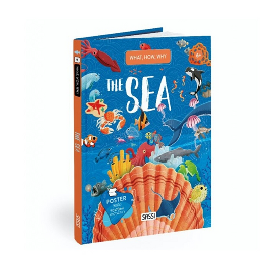 Sassi - What How Why The Sea Book and Poster