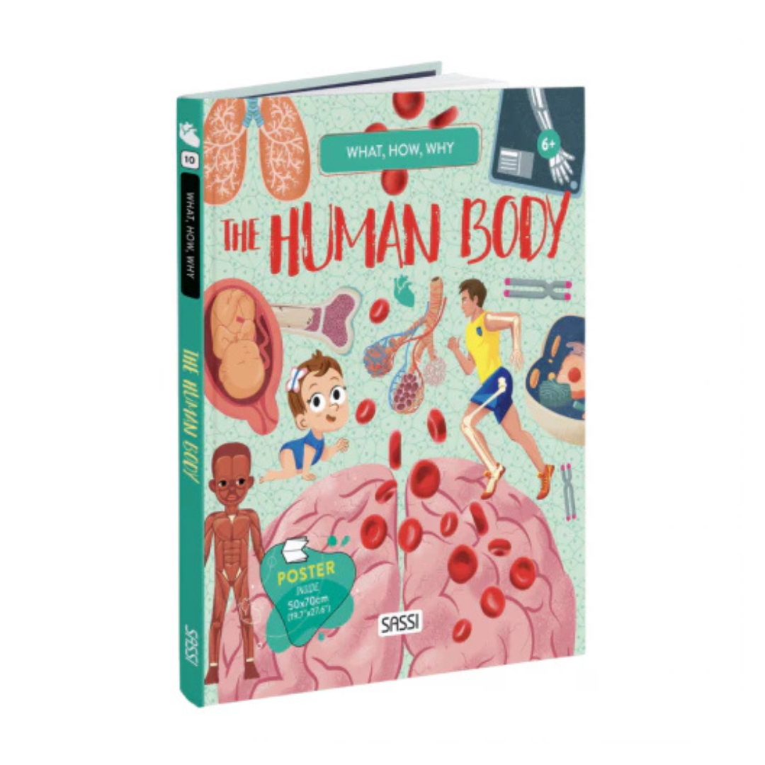 Sassi - What How Why The Human Body Book and Poster