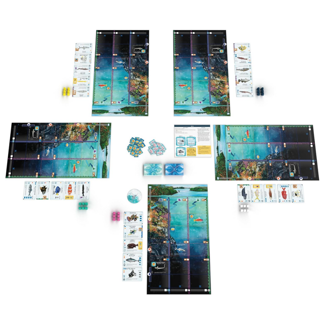 Finspan Board Game