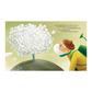 Sassi - Gardener of Dreams Story Book