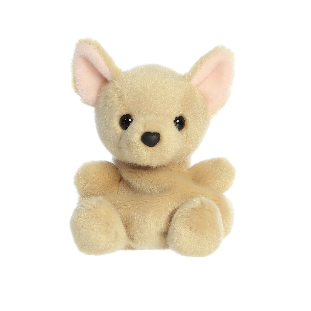 Palm Pals - Cookie Chihuahua