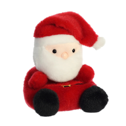 Palm Pals - Santa Claus