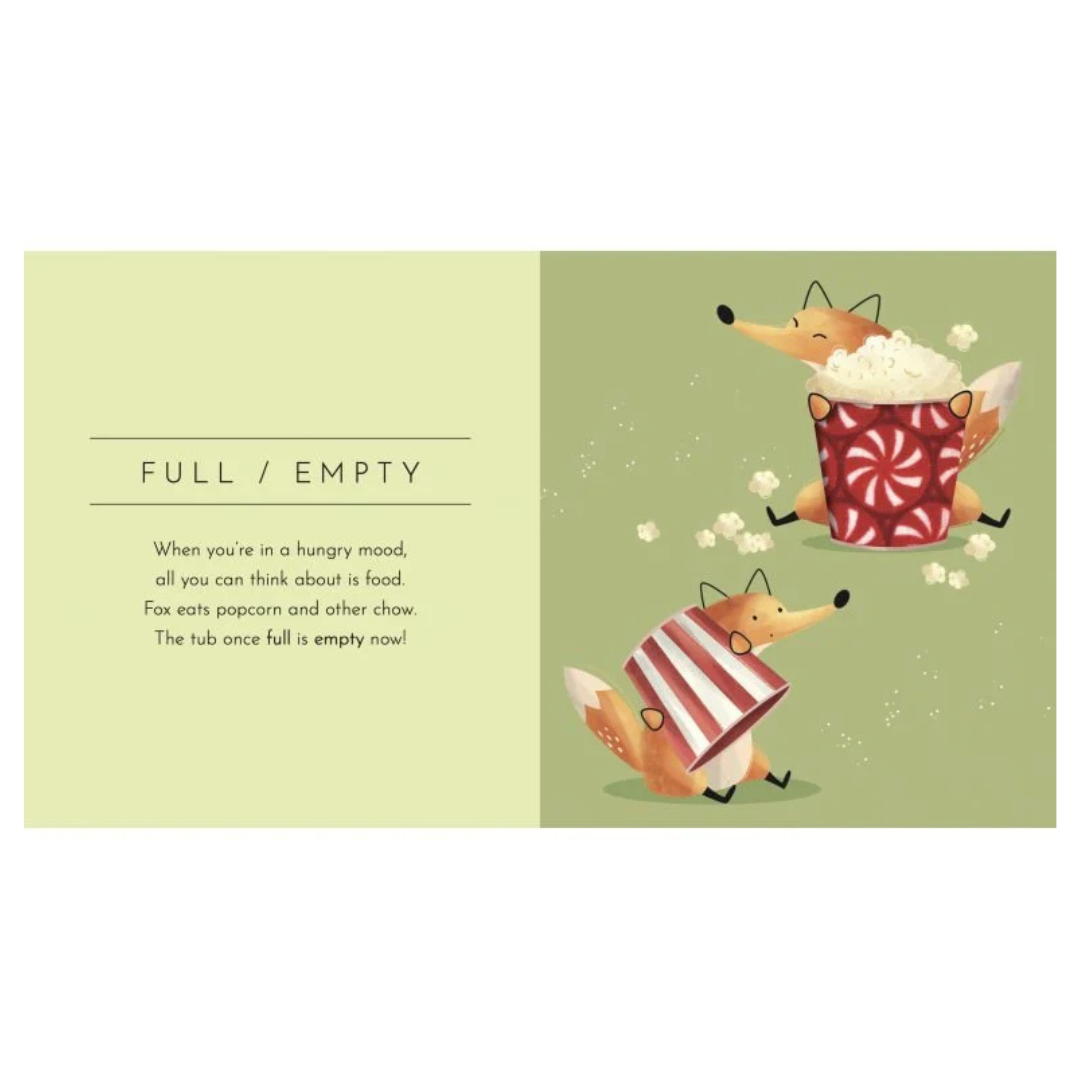 Sassi - Touch and Feel Opposites Book