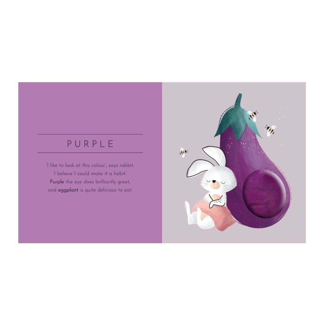Sassi - Touch and Feel Colours Book