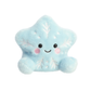 Palm Pals - Frosty Snowflake