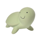 Tikiri Turtle Rubber Teether Rattle & Bath Toy