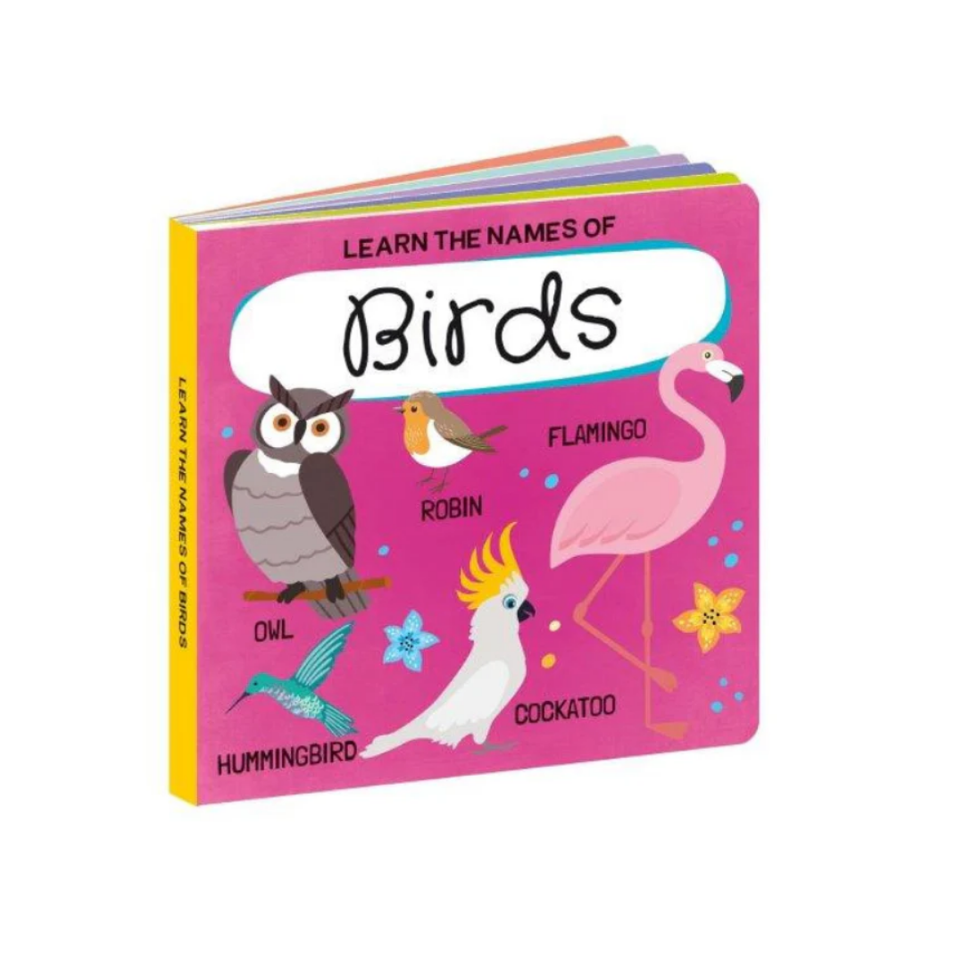 Sassi 3D Puzzle and Book Set - World of Birds