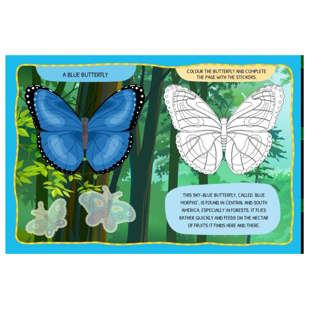 Sassi Arts and Craft - Mega Butterflies