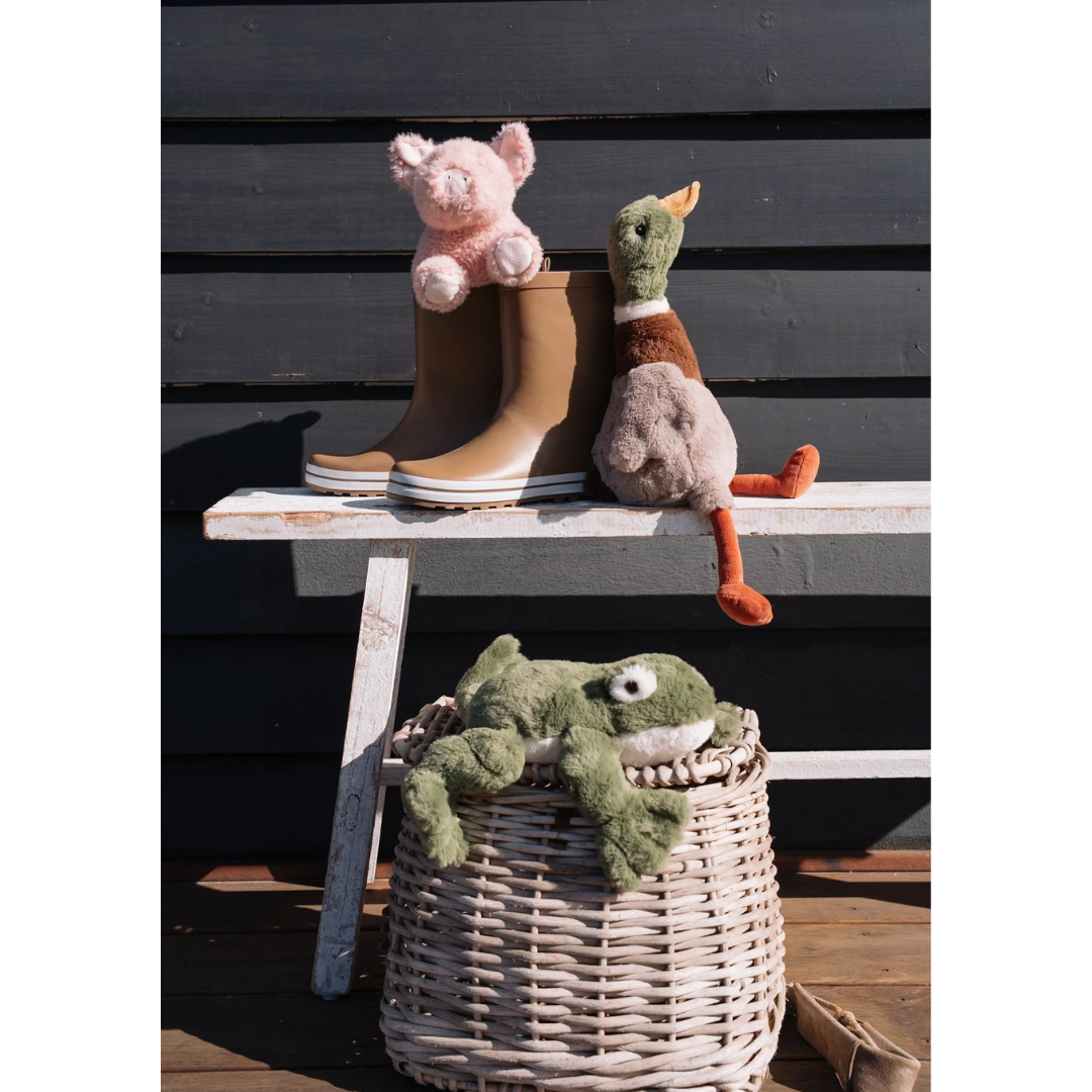 Nana Huchy - Finley the Frog