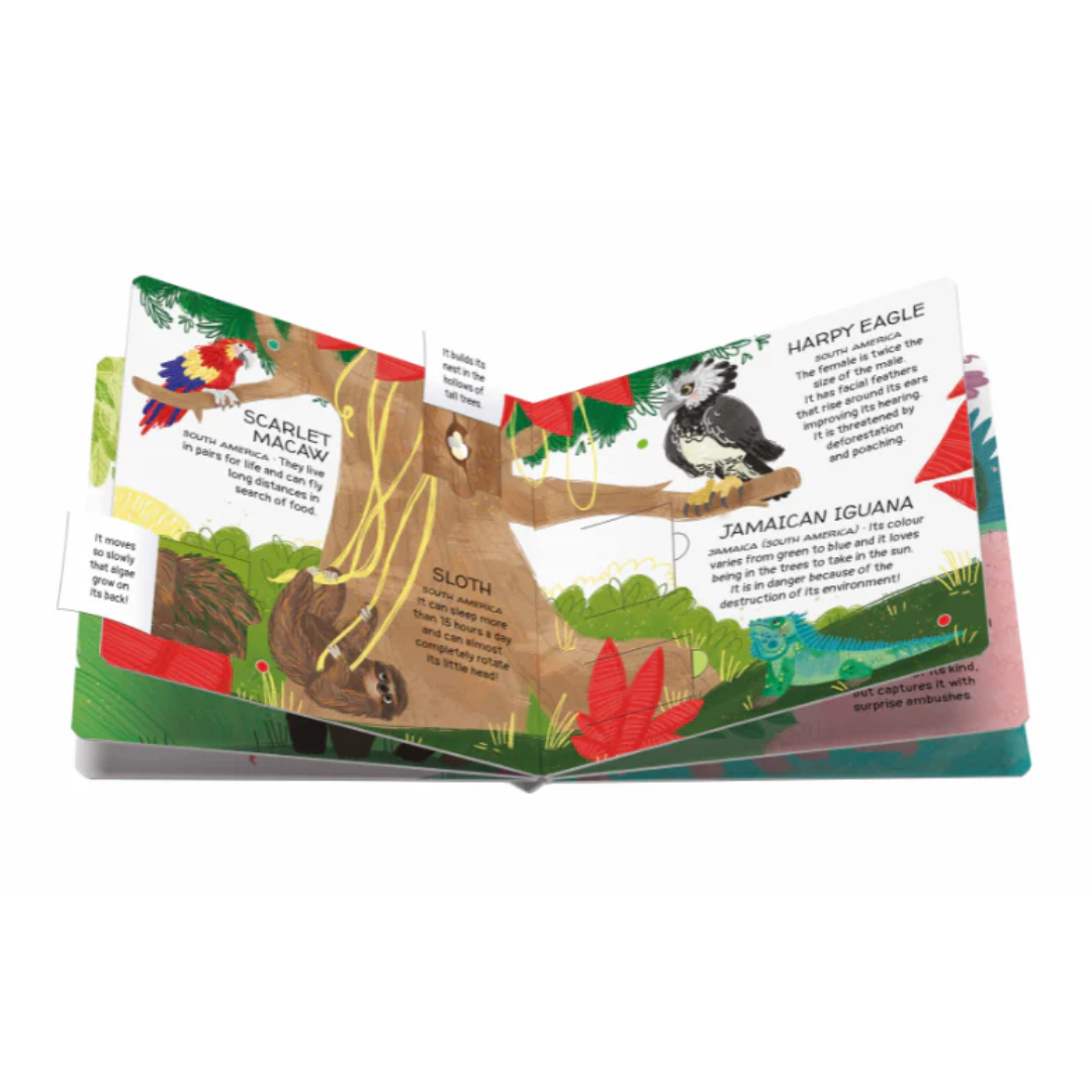 Sassi Games - Memory Matching - Animals to Save | Tropical Forests