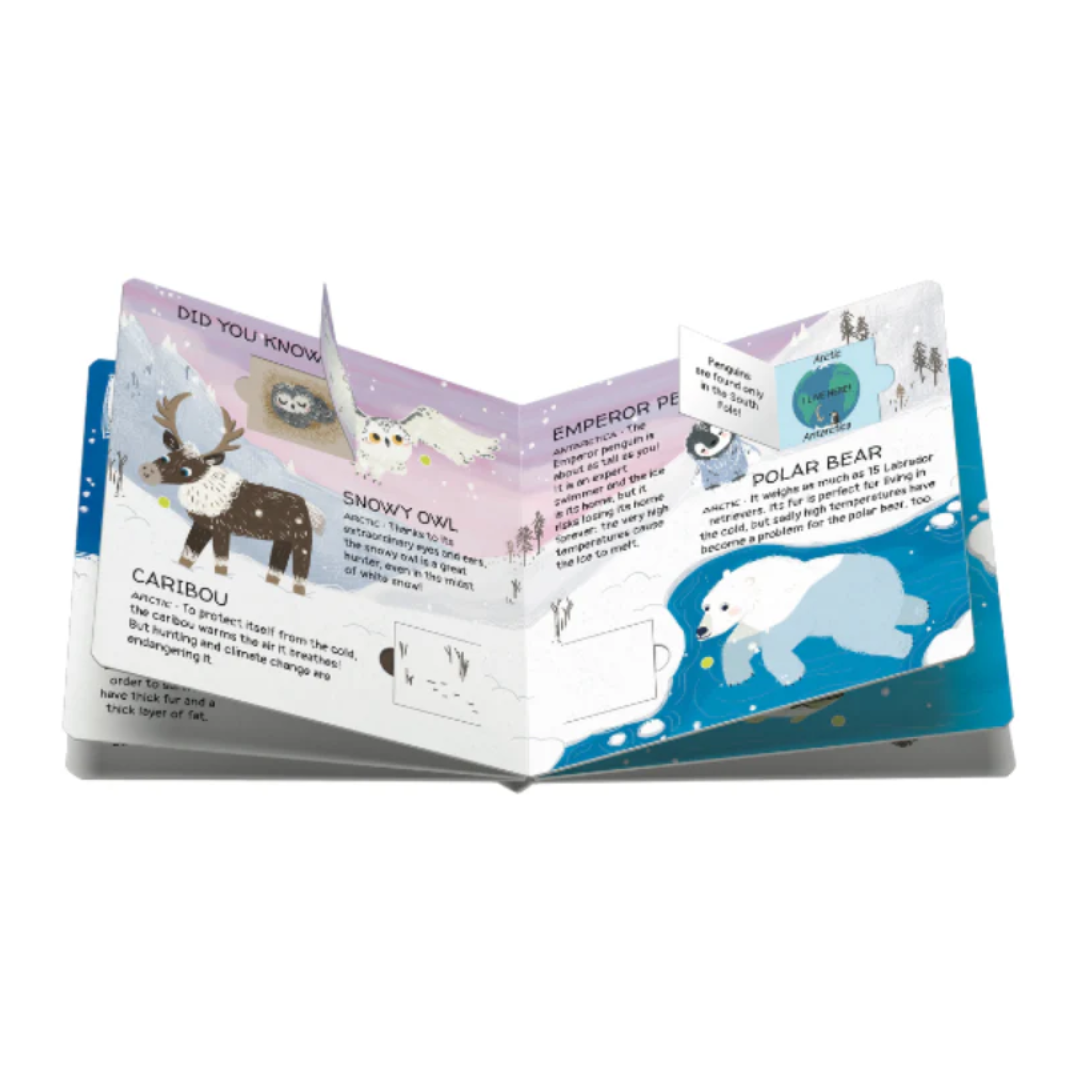Sassi Games - Memory Matching - Animals to Save | Polar Ice