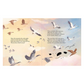 Autumn Story Book