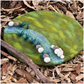 Tara Treasures - River Round Play Mat Playscape