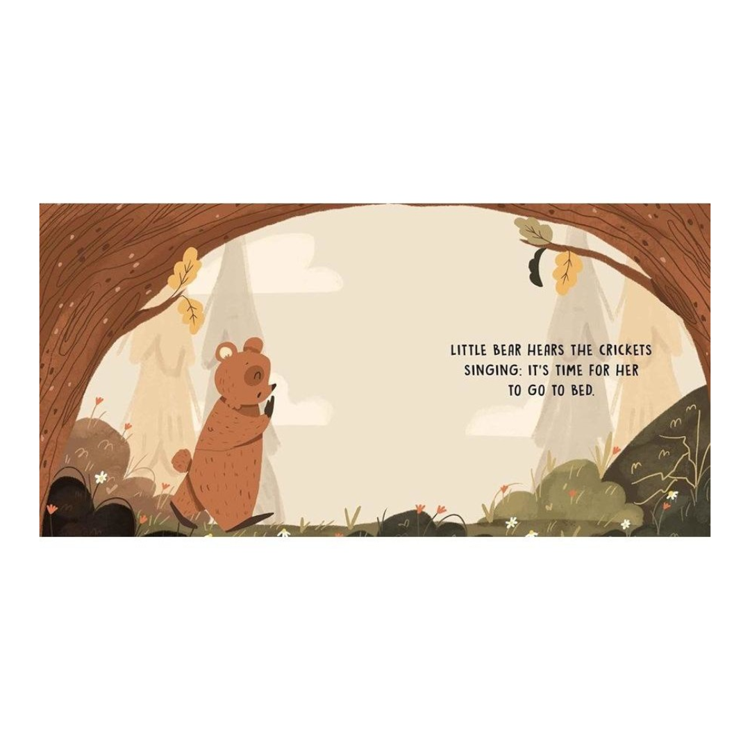 Sassi - Sweet Sounds Stories - Bedtime | Board Book