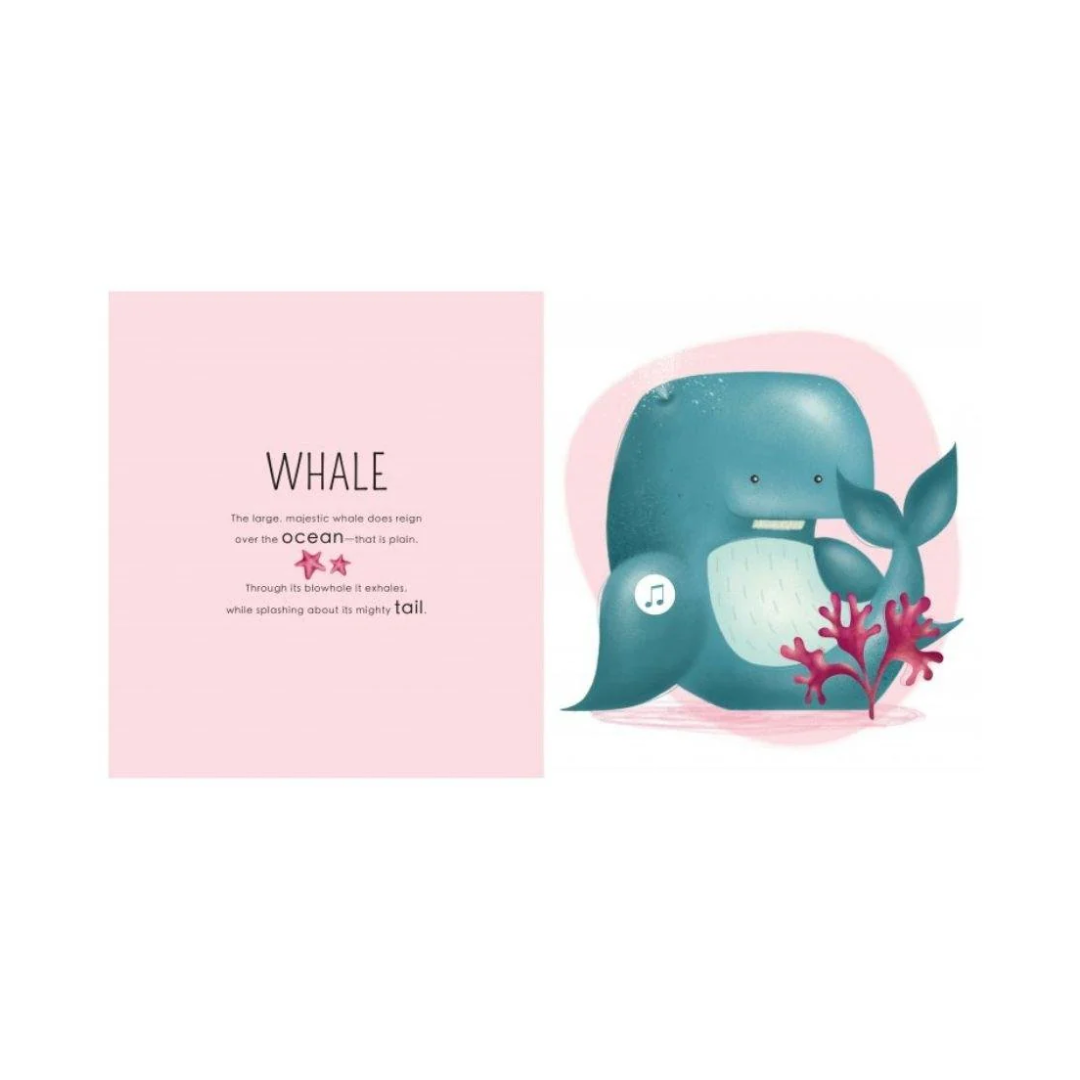 Sassi - Who Lives in the Sea | Sound Book