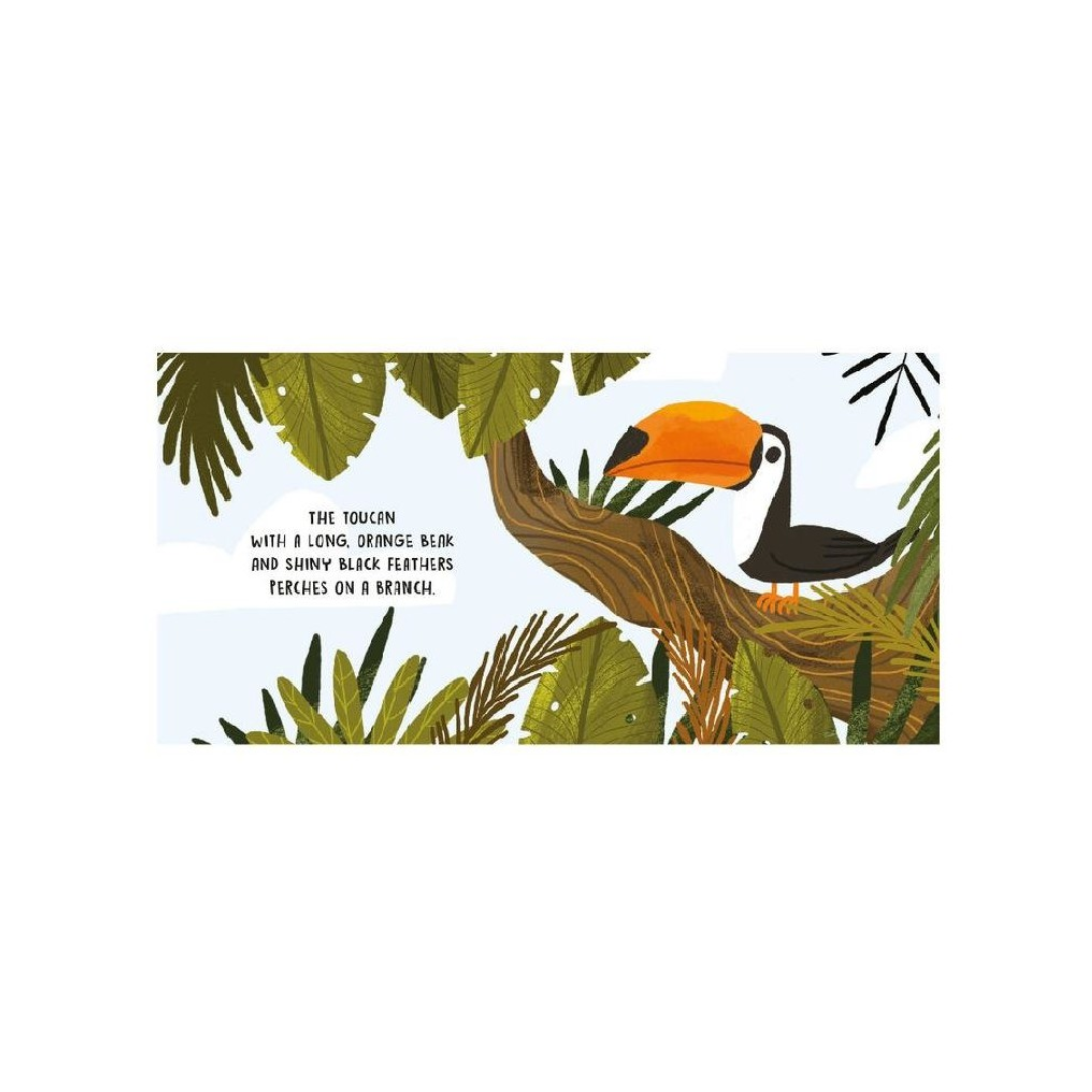 Sassi - Sweet Sounds Stories - The Jungle | Board Book