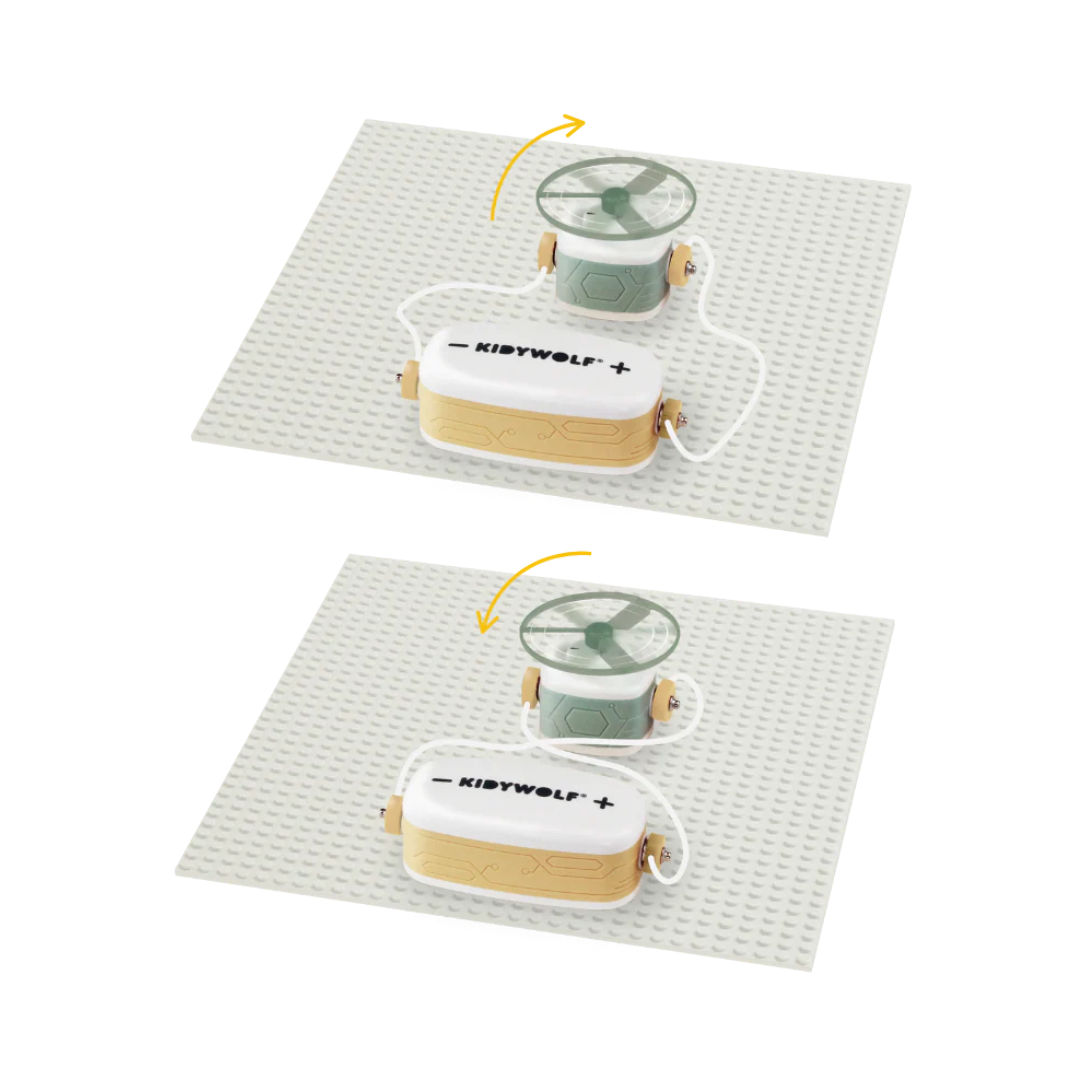 Kidywolf - Kidy-Elec | Starter Kit