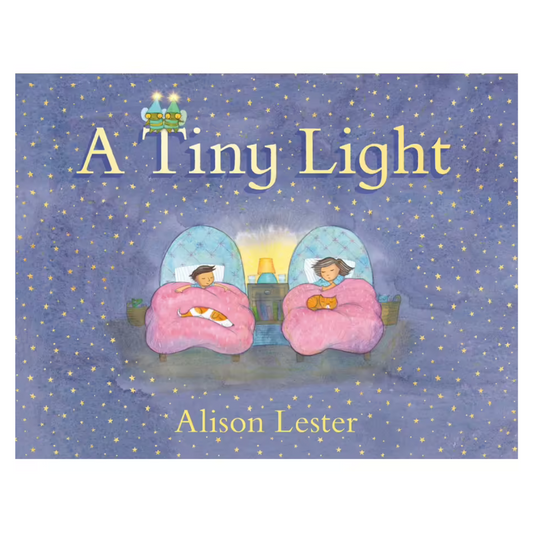 A Tiny Light - Book