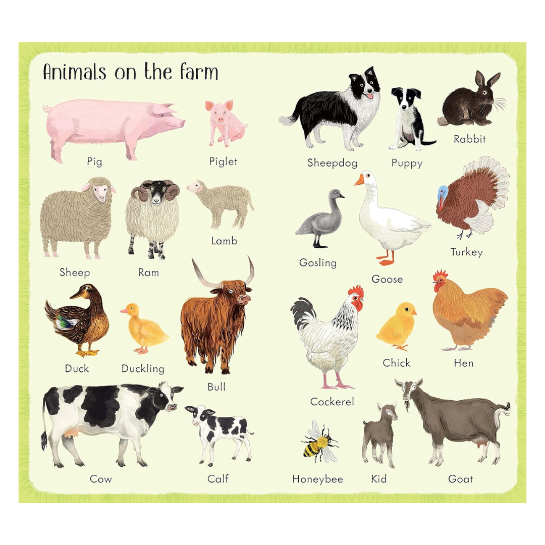 199 Things on the Farm Book